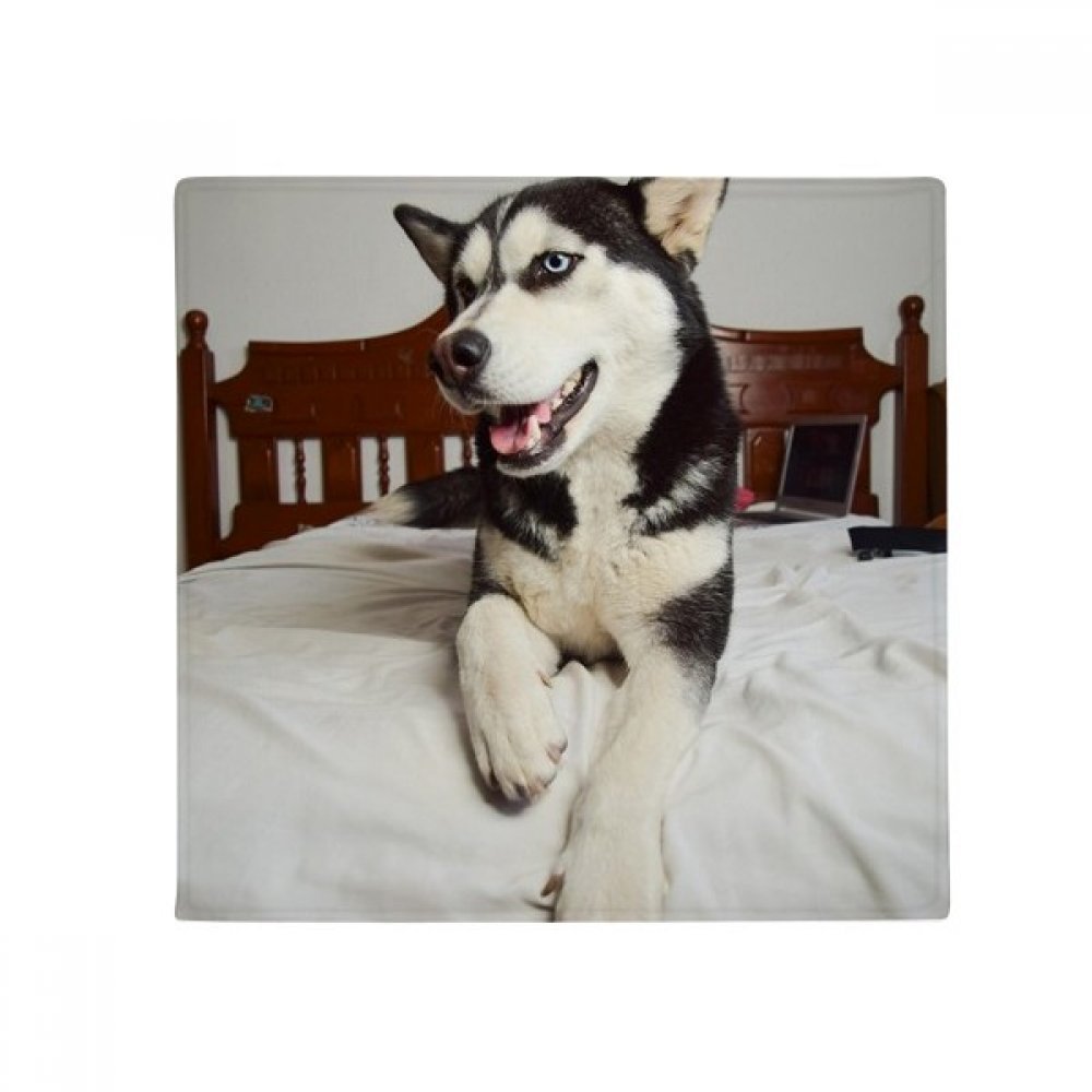 Tapis de sol Husky pour animaux multicolore 50x50cm, idée cadeau originale de décoration