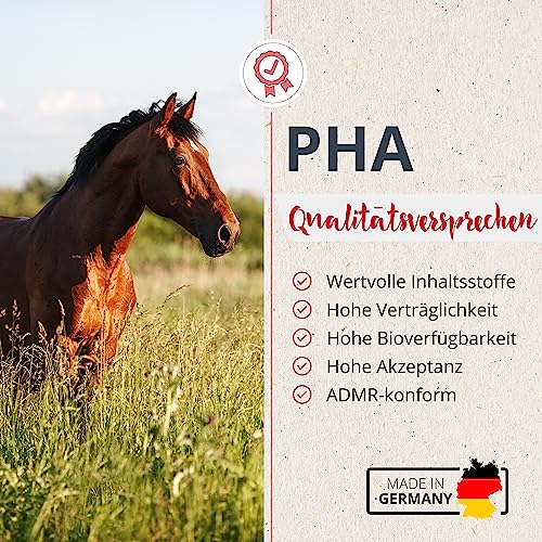 Muskelaufbau Zusatzfutter für Pferde – PHA Muskel & Leistung