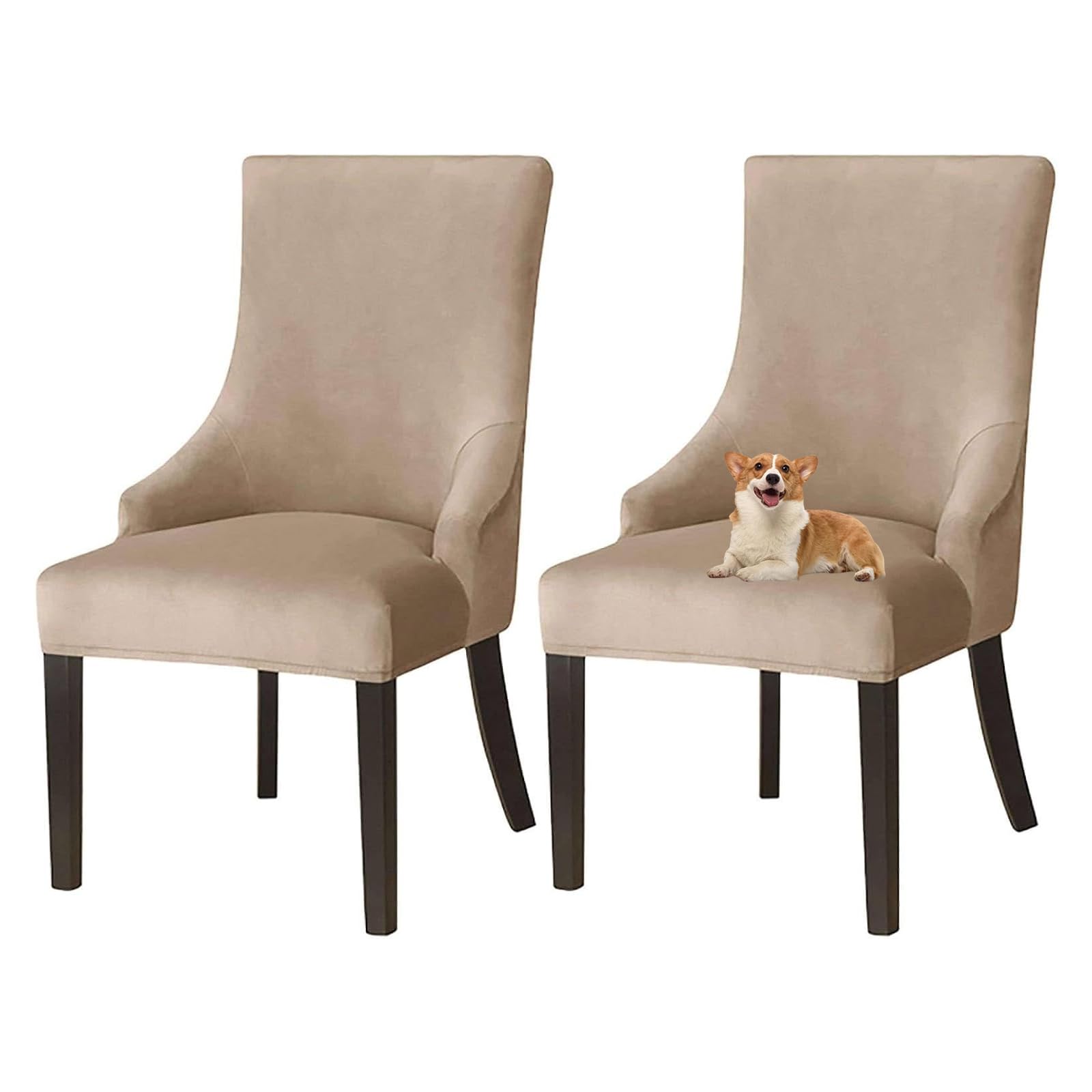 GUYIRT Velvet Wingback Dining Chair Covers Wingback Side Chair Cover Slipcover Sloping Armchair Cover with Elastic Bottom for Kitchen Banquet (camel,set of 2)