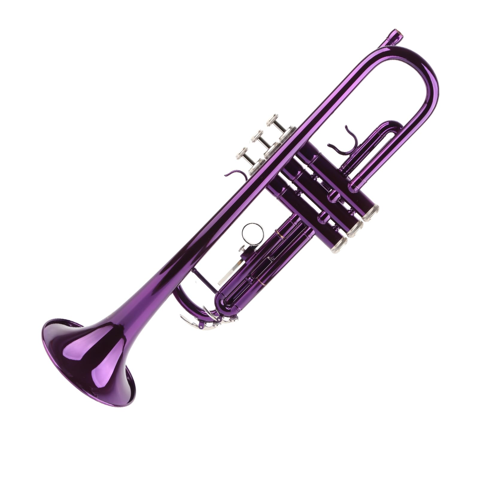 Aramox B-Trompeten-Set für Anfänger mit Koffer, Professionelles Blechblasinstrument mit Zubehör für Studenten und Blaskapelle (PURPLE)