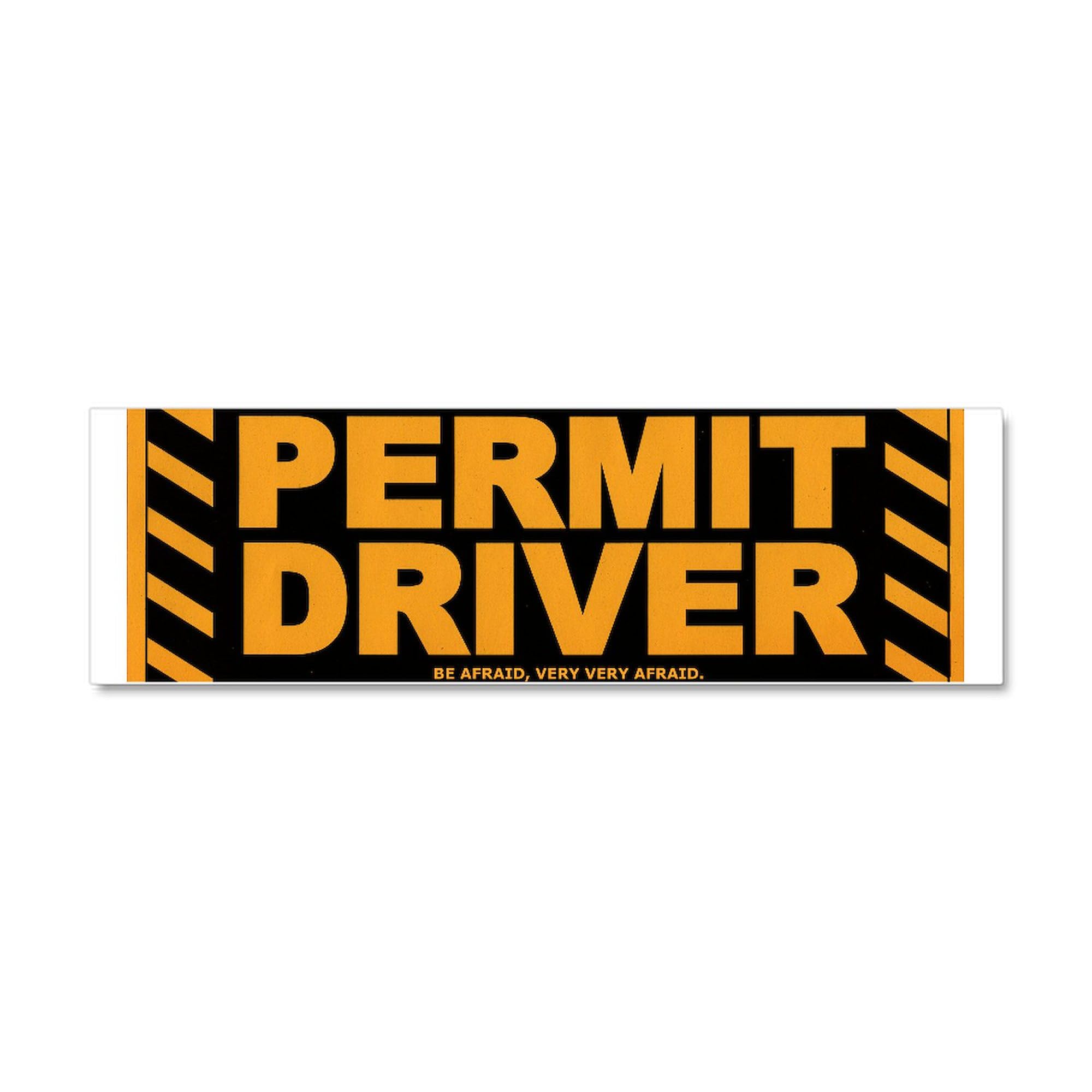 CafePress Car Magnet 10 X 3 Car Magnet 10