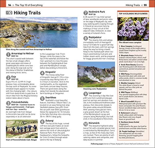 DK Eyewitness Top 10 Iceland