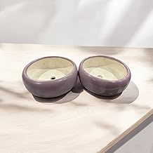Medium Bonsai Planter for Plants Succulent Planter Flat Pots with Drainage Holes Pot Light Weight for Office Table Living Room Center Table Centerpieces Size 6.5 x 2.5 inches (Purple, Pack of 2)