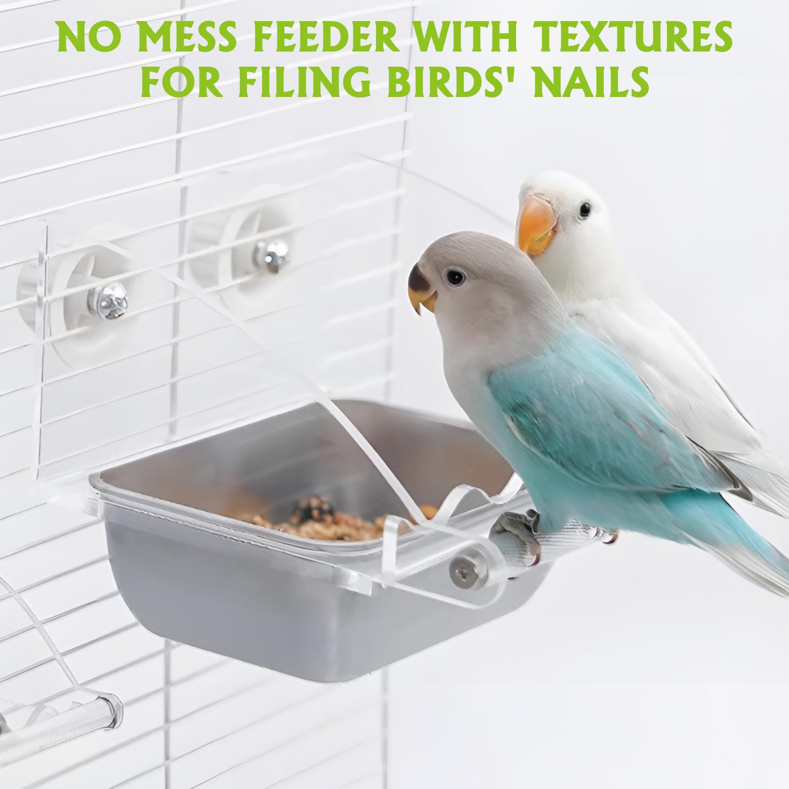BNOSDM Bird Feeder for Cage with Stainless Steel Food & Water Bowl Acrylic Parakeet Seed Dishes with Anti-Slip Perch Stand for Parrot, Cockatiel, Lovebird, Canary, Finch,Conure,Cockatoo, Pigeon - image 4