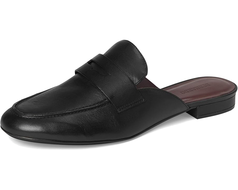 Bernardo Balda - Front View