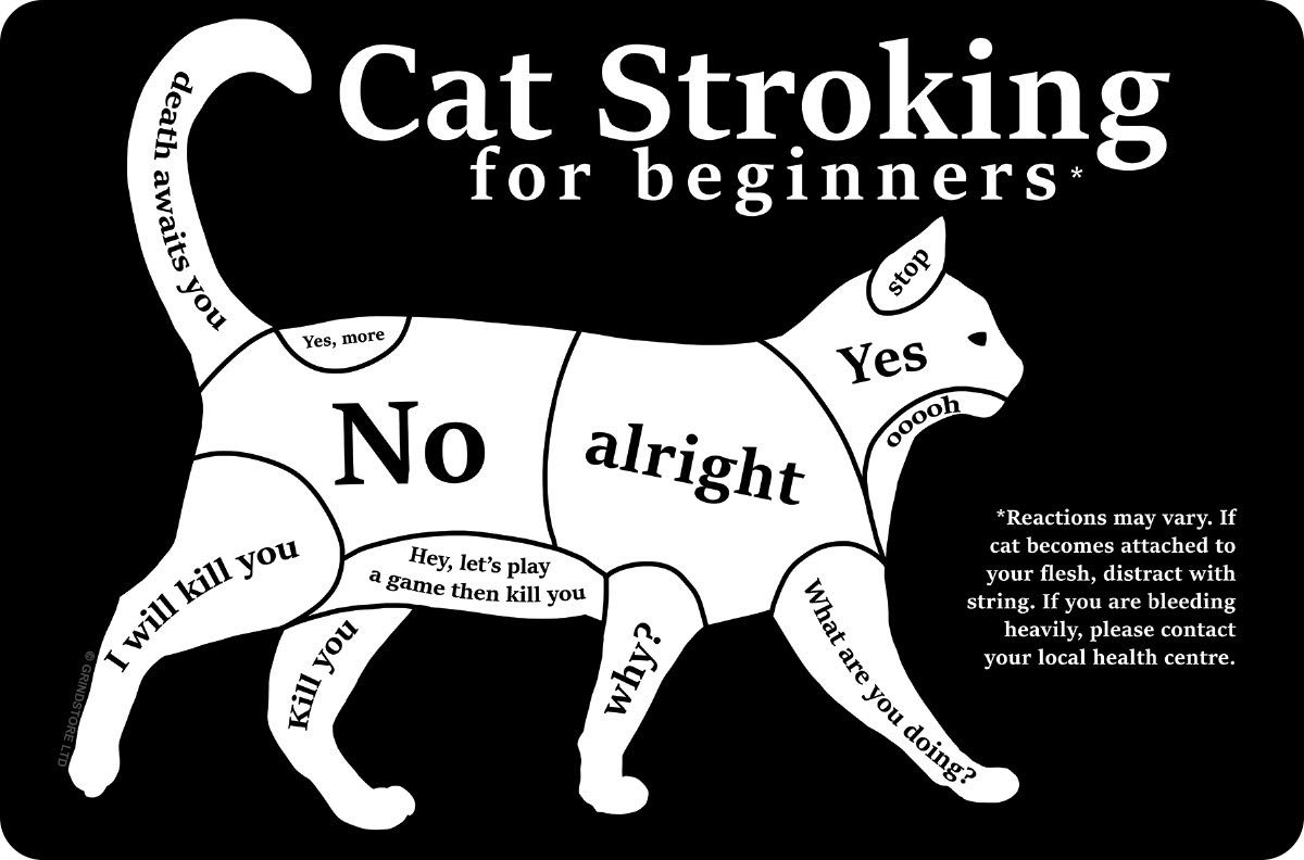 Cat Stroking For Beginners Small Tin Sign