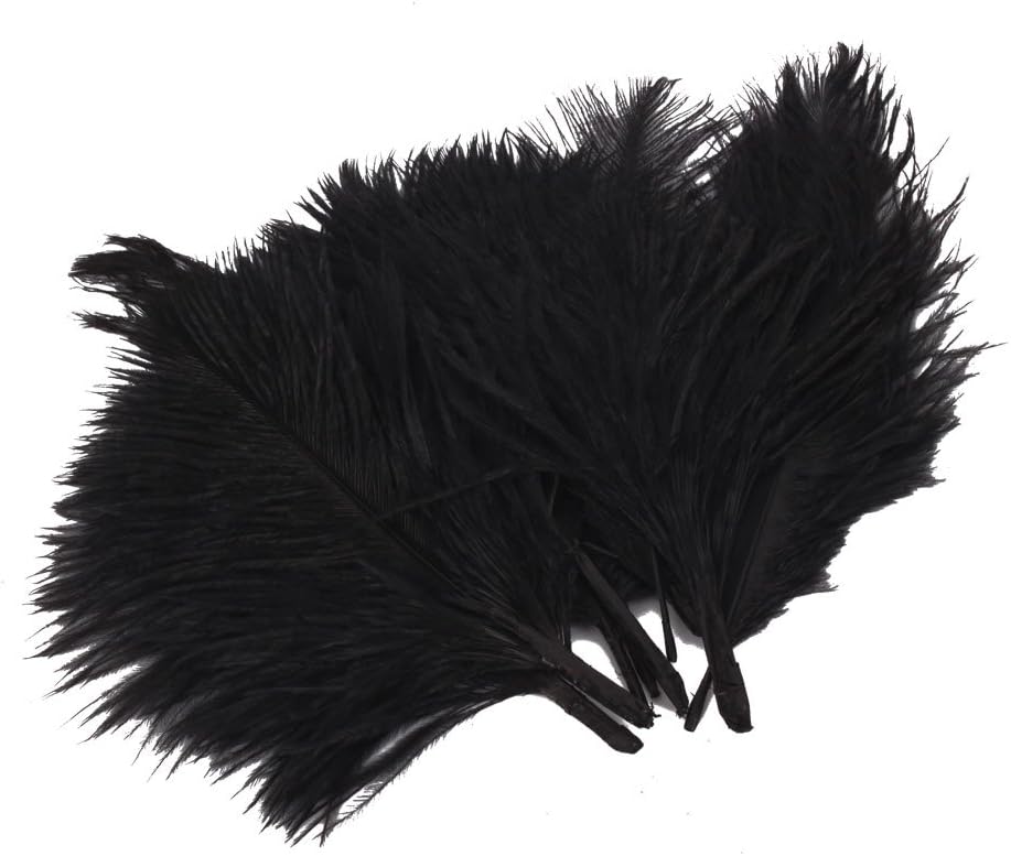 20 x Black Ostrich Feathers (1015 CM) Health & Household