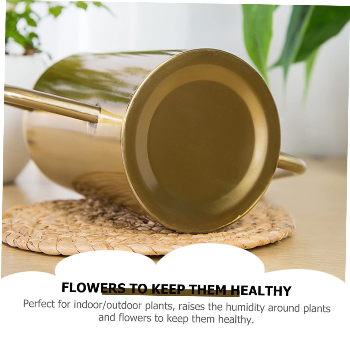 HANABASS Arrosoir Acier Inoxydable avec Bec Verseur Long Outil d Arrosage pour Plantes Grasses Et Plantes d Intérieur