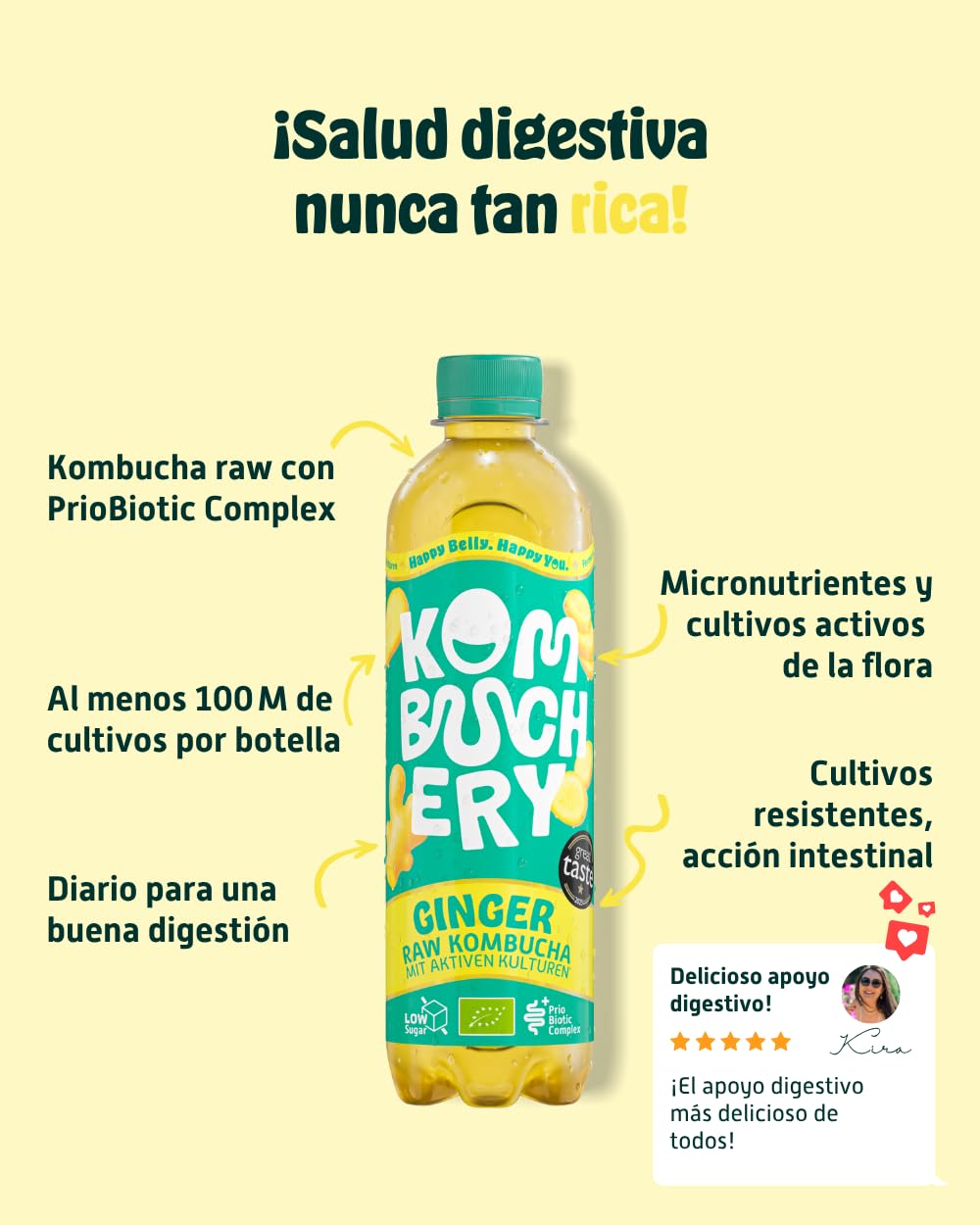 KOMBUCHERY® Kombucha de Jengibre Ecológico Crudo | 36 x 400 ml | Té fermentado con cultivos vivos | Bajo en azúcar y calorías | Sin pasteurizar, probiótico
