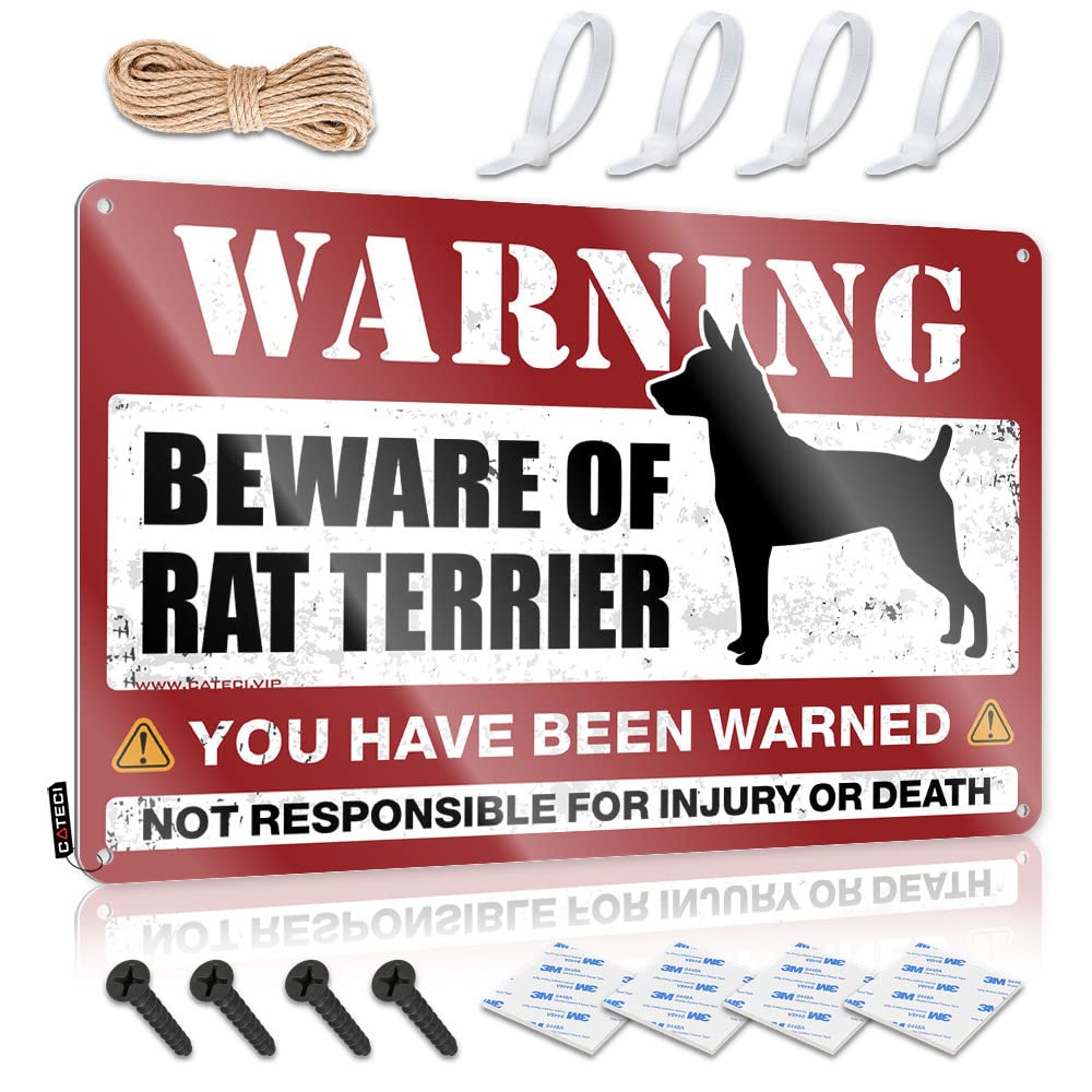 Tin Sign Wall Decor Beware Of Rat Terrier Tin Sign Funny Plaques For Men Bar Accessories For Man Cave(30X40CM)