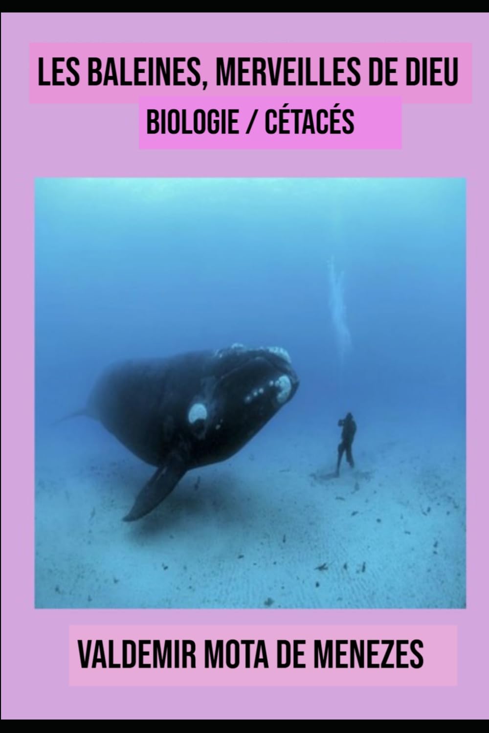LES BALEINES – Merveilles de Dieu: biologie / cétacés