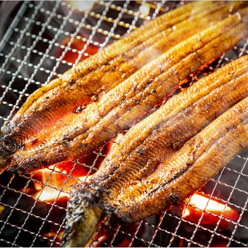 北国からの贈り物 老舗「五郎藤」[贈答用]国産 有頭 旨鰻 250g×4尾(合計1kg)特大サイズ 関西風地焼き うなぎ 小分け ひつまぶし 簡単調理