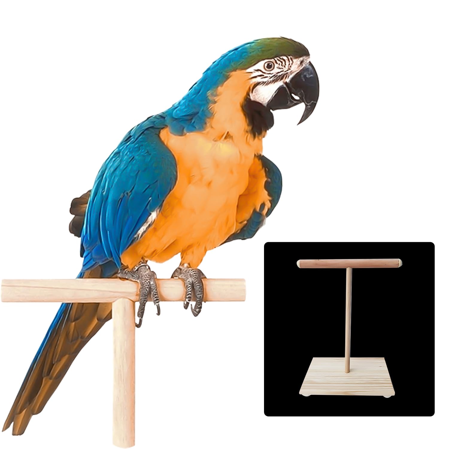 NAUZE Wooden Bird Perch T Stand Parrot Perch Stand Bird Play Gym Toy Cage Accessories Training Platform for Pet Cockatiel Cage Nest Play - Image 4