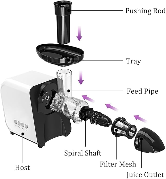 Extractor de Jugos Lento Prensado en Frío Triple Filtración Capacidad 1L miniatura 3