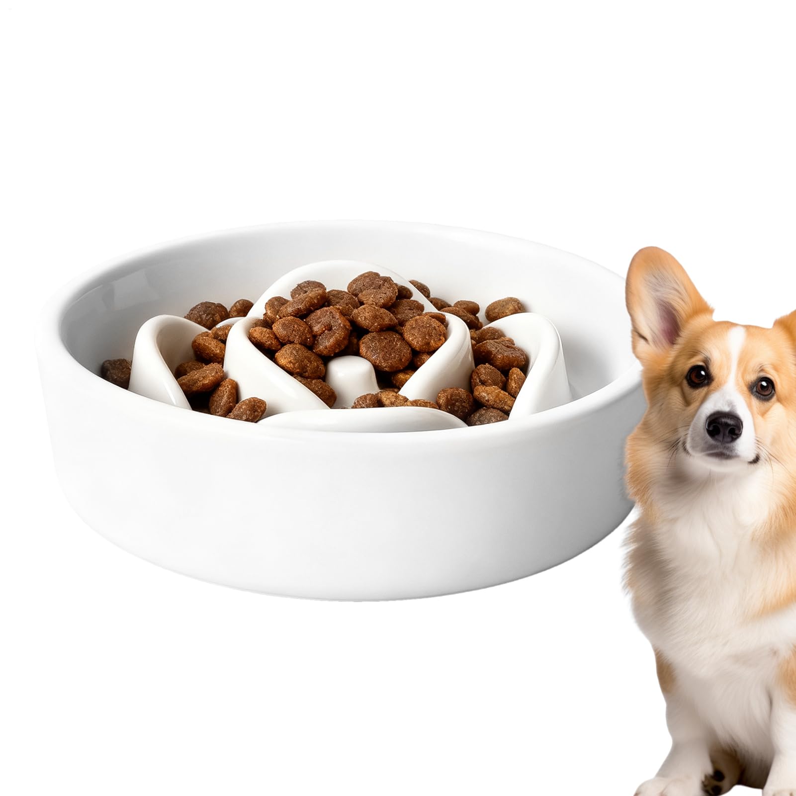 Jeu interactif d'alimentation contre l'ennui et la gloutonnerie des chiots