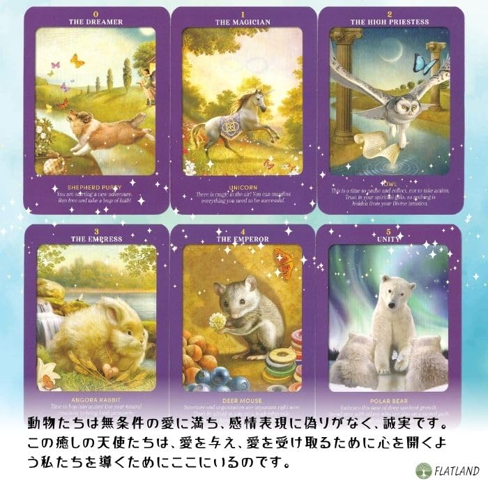 Amazon.co.jp: アニマル・ガイズ・タロット Animal Guides Tarot 英語
