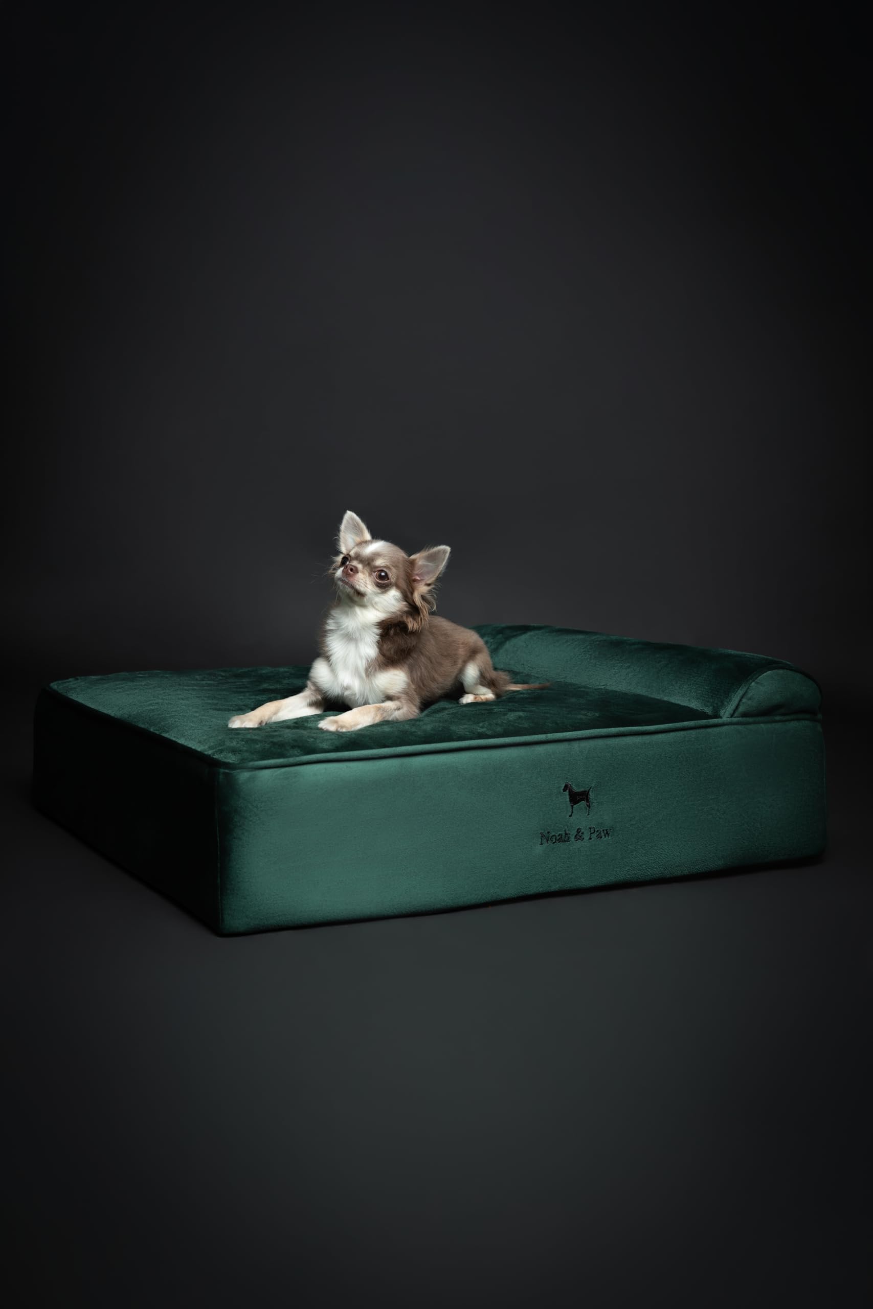 NOAH & PAW Dog Bed, 28x23x7.5 Inch, Orthopedic Dog Beds for Medium Size Pets, Eggshell Memory Foam Infused with Cooling Gel, Waterproof, Machine Washable, Includes Inner Cover (Velvet Collection) - image 6