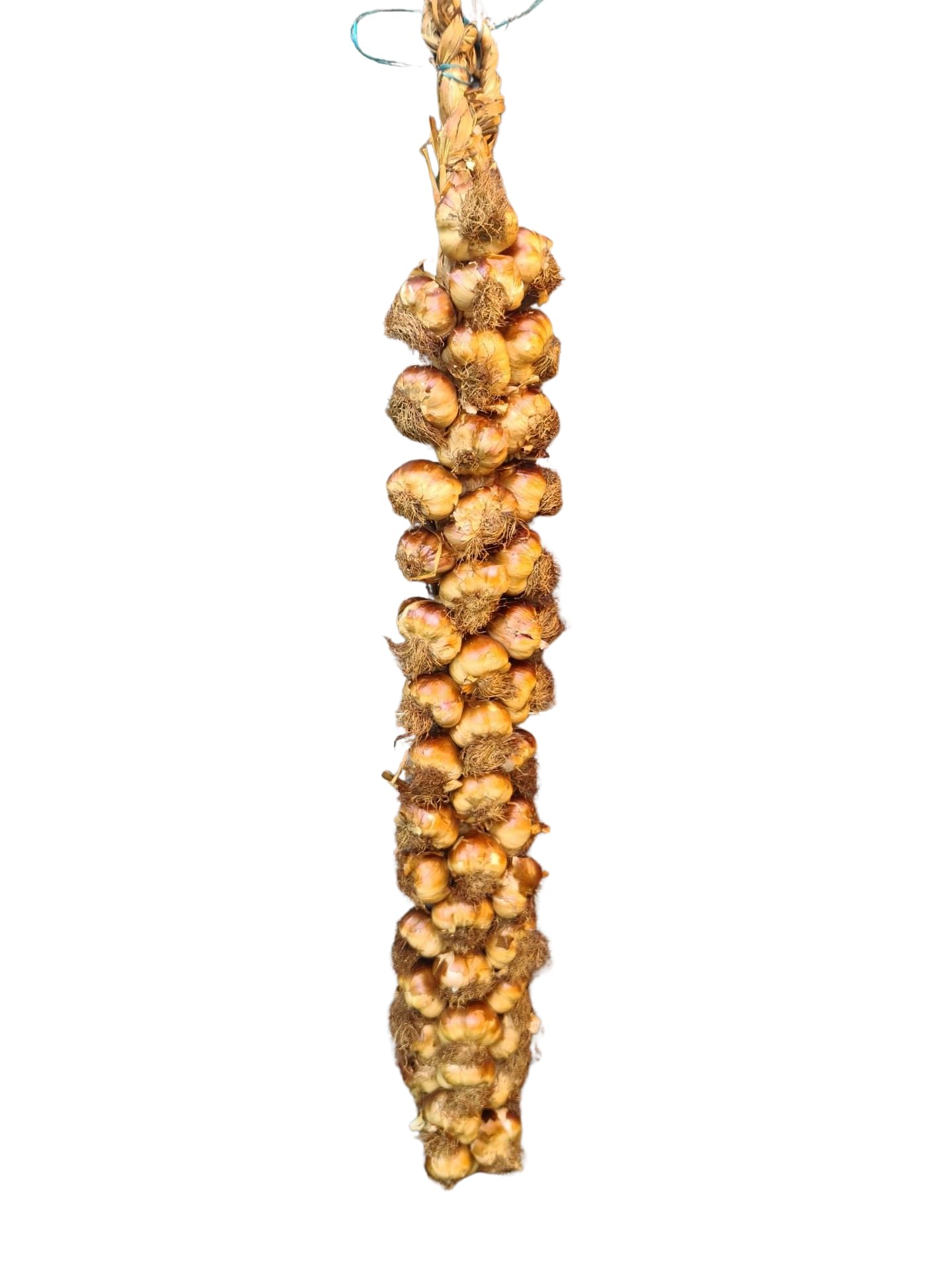 Geräucherter Knoblauch - Zopf 45 Knollen aus Frankreich