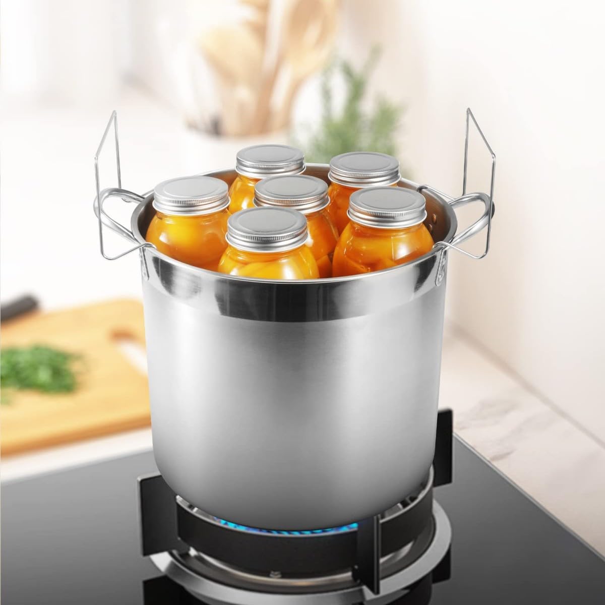 Set di conserve in acciaio inox da 20L, 9 pezzi in acciaio inox con bagnomaria, struttura portante, coperchi, sollevavasi, pinza e 30 etichette (Botti non inclusi-rosso)