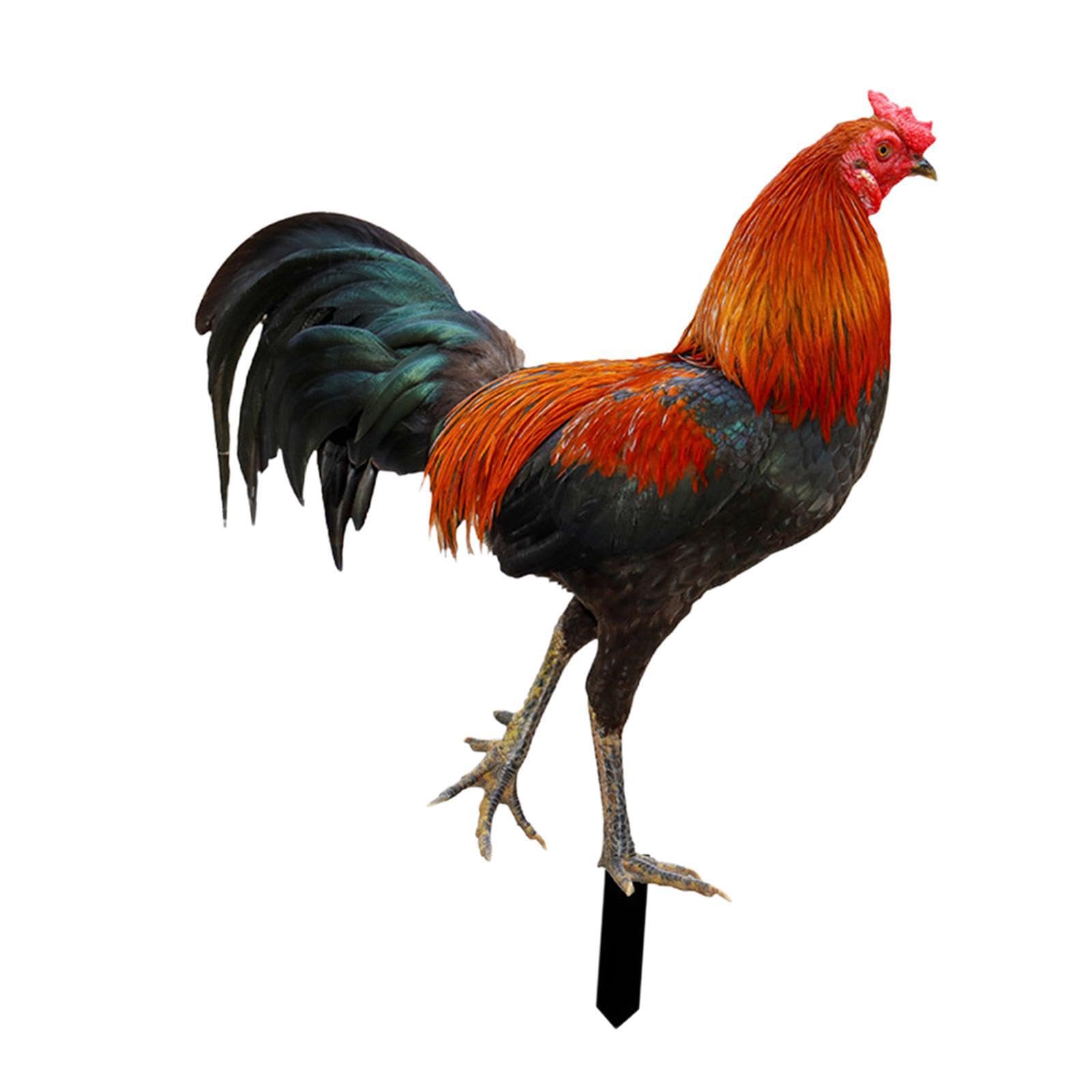QIXCXAZ Fun Garden Decor Rooster Garden Stake Unique Yard Stakes Acrylic Patio Stake Easy To Install Outdoor Spring Decor Rooster Decorative For