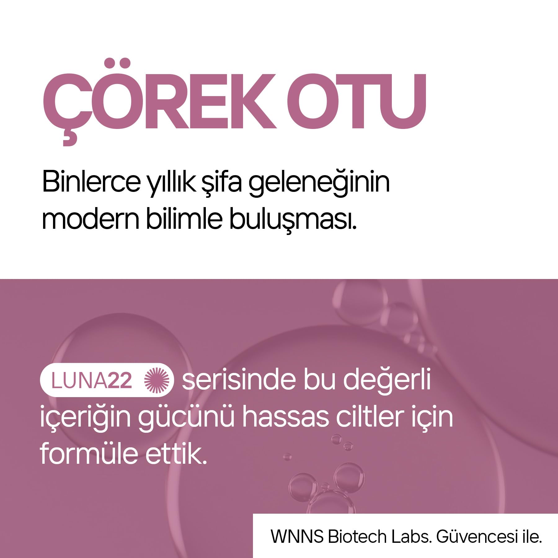 Lipo-C Pigment Güneş Kremi SPF50+ | Leke Karşıtı, Cilt Tonu Eşitleyici Yüksek Koruma, B5 + Çörek Otu Luna22
