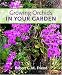 Growing Orchids in Your Garden
