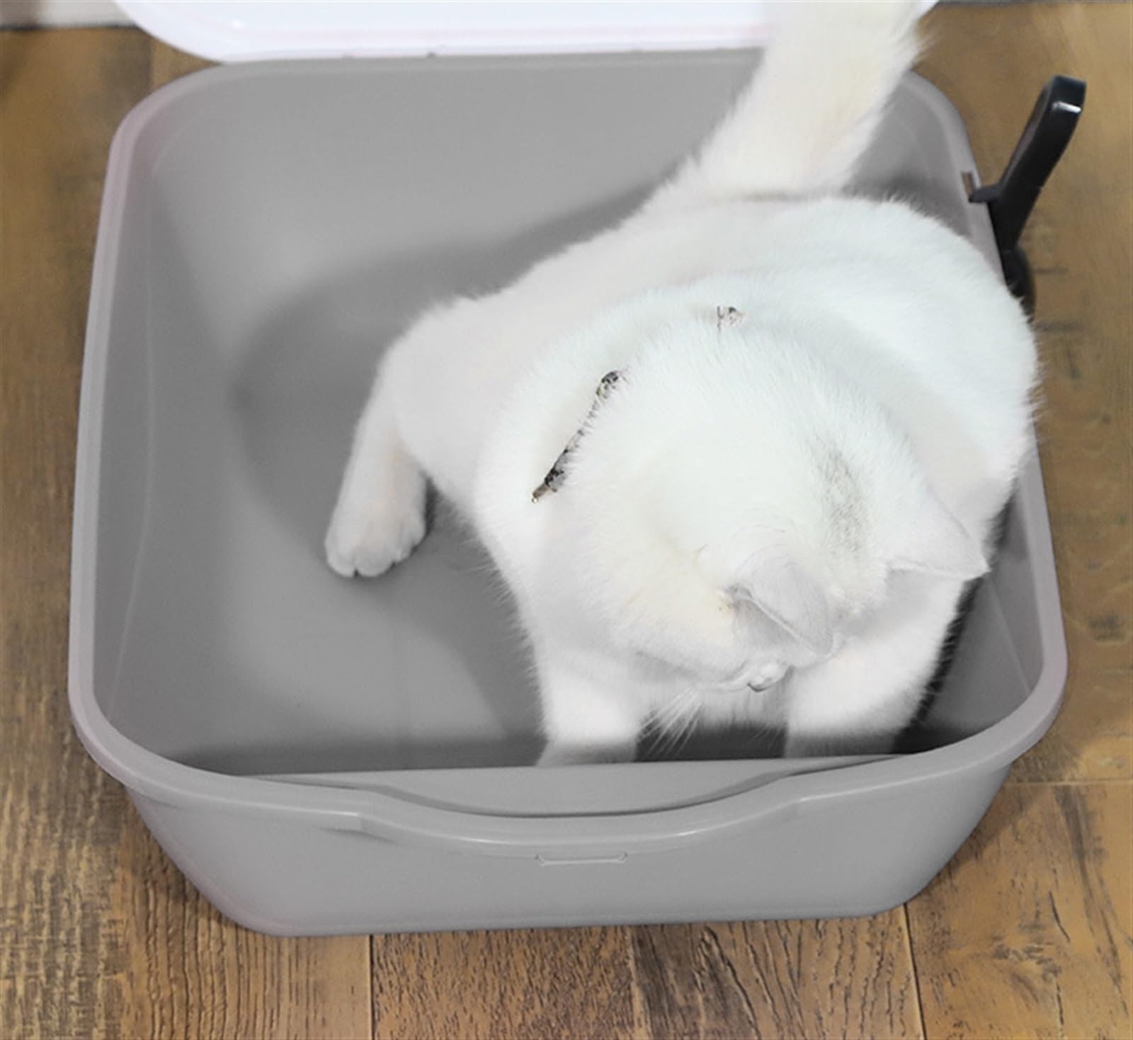 Caixa de Areia para Gatos Orinal Con Capucha Para Gatos Y Gatitos, Inodoro Cerrado Para Gatos, Reutilizable, Antisalpicaduras, Con Solapa Para Puerta Delantera, Accesorios Para Mascotas Arenero Gatos(
