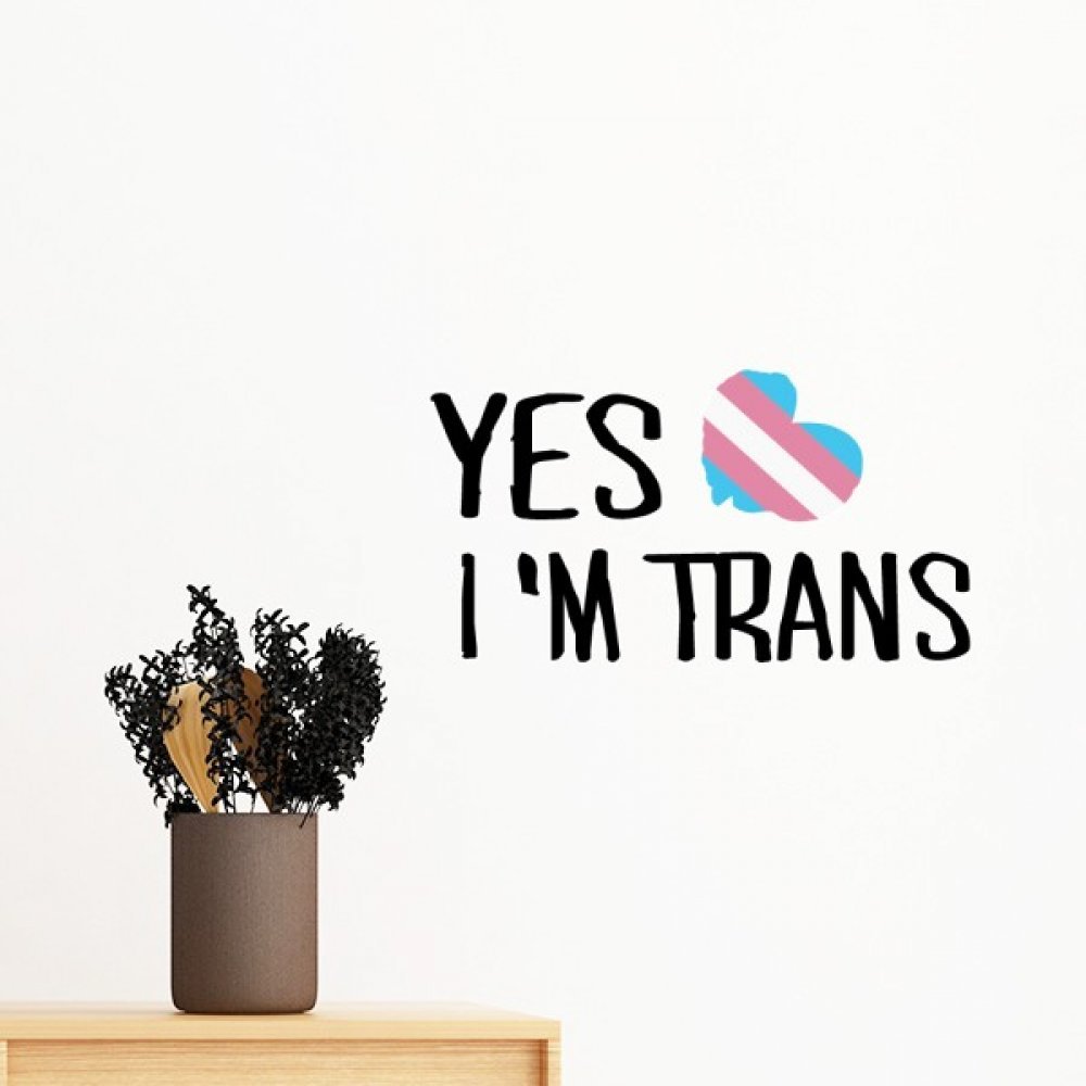 Papier peint trans LGBT autocollant pour relooker un mur blanc sans laisser de traces