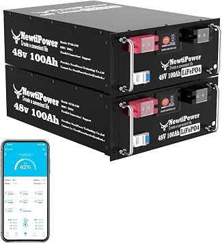 48V 100Ah LiFePO4 Battery, 5120Wh Lithium Battery with 100A BMS, Up to 10000+ Rechargeable Cycles, Support in Series/Parallel, Perfect for RV Camping, Solar Power Storage 48V*100Ah*2Packs