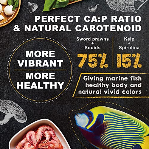 Ultra Fresh Marine Fish Food, 75% Sword Prawns + Squids, Natural Protein, Color Enhancement, For Large Saltwater Fish, Marine Shrimp Patties L 2.12Oz #TOP1