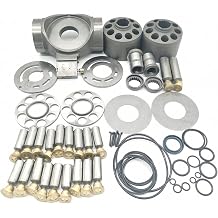 Hydraulic Pump Repair Parts Kit Compatible FOR Rexroth A10VD43SR1RS5 Caterpillar 307SSR