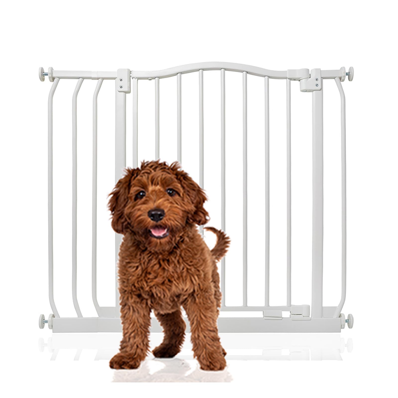 Bettacare White Curved Top Dog Gate, 80Cm - 89Cm, Matt Pressure Fit Pet Gate For Puppy And Dog, Easy Installation
