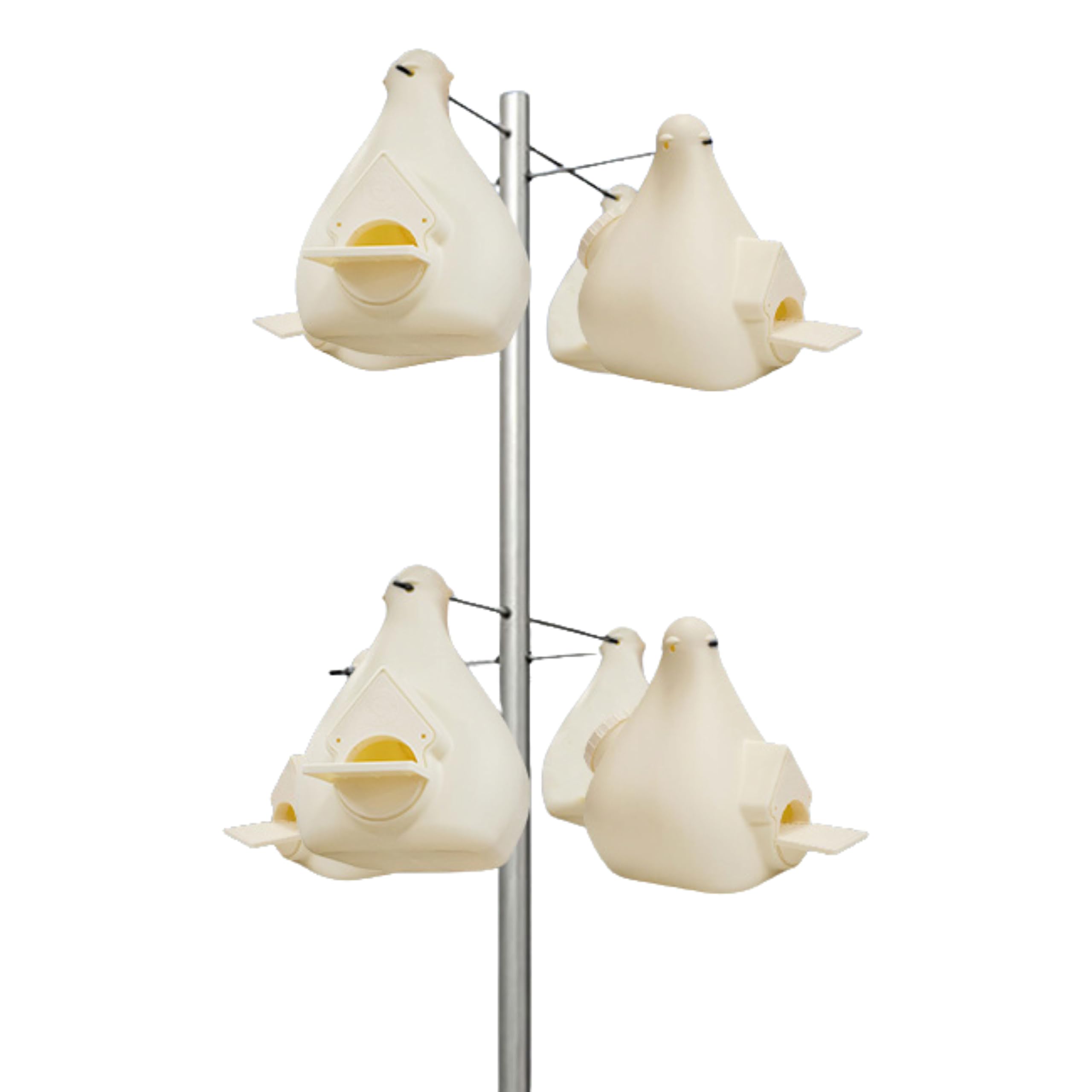 Amazon.com: Wild Bird Lover's Deluxe Purple Martin Gourds and Pole