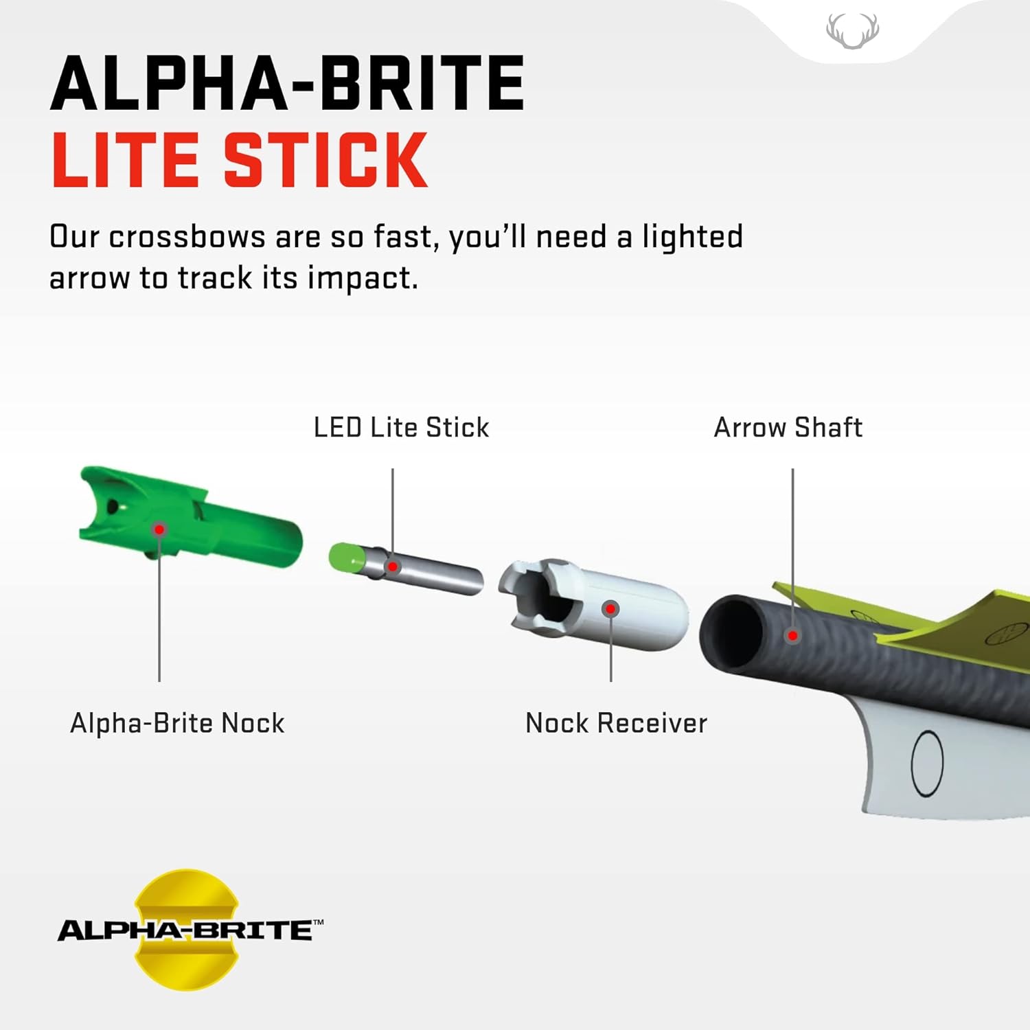TenPoint Alpha-Brite Lite Stick, Green - Pack of 3 - 8 to 10-Hour Battery Life : Sports & Outdoors