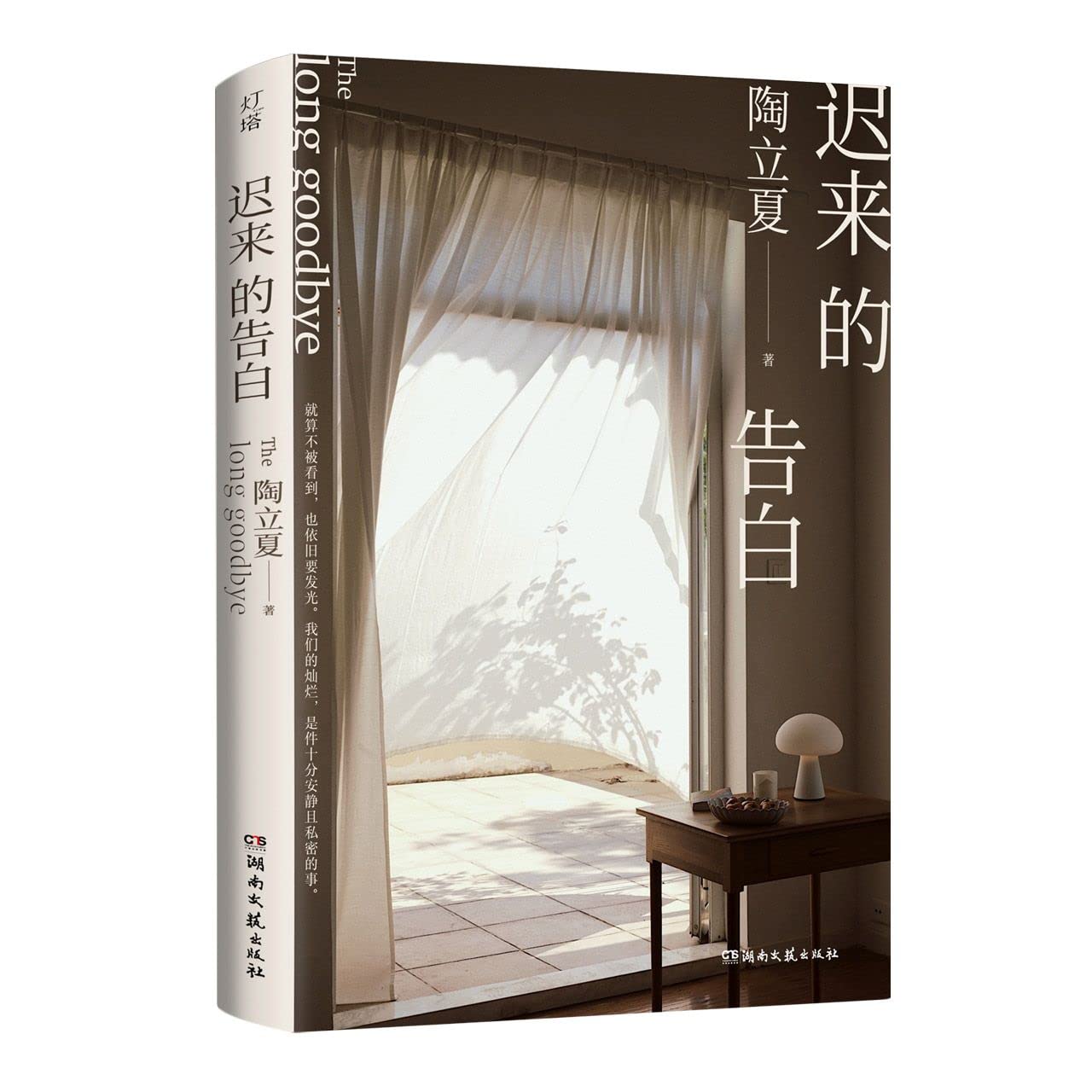 The Long Goodbye (Chinese Edition)