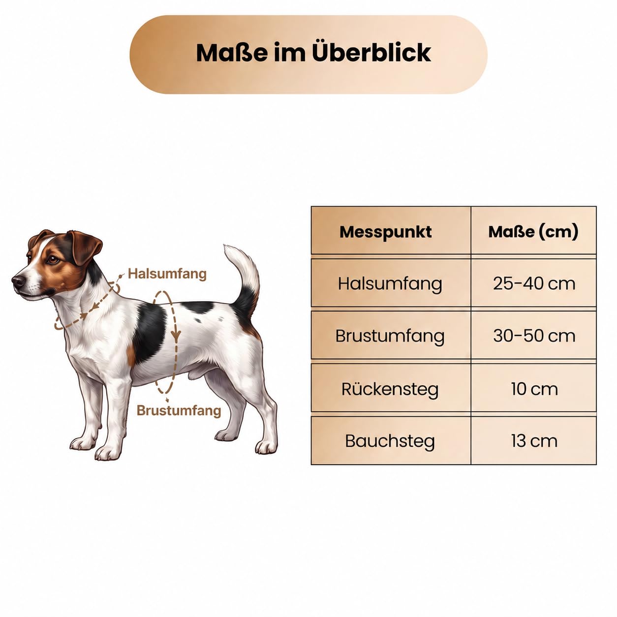 Hundegeschirr kleine Hunde aus Rindsleder - Hunde Geschirr kleine Hunde⁠