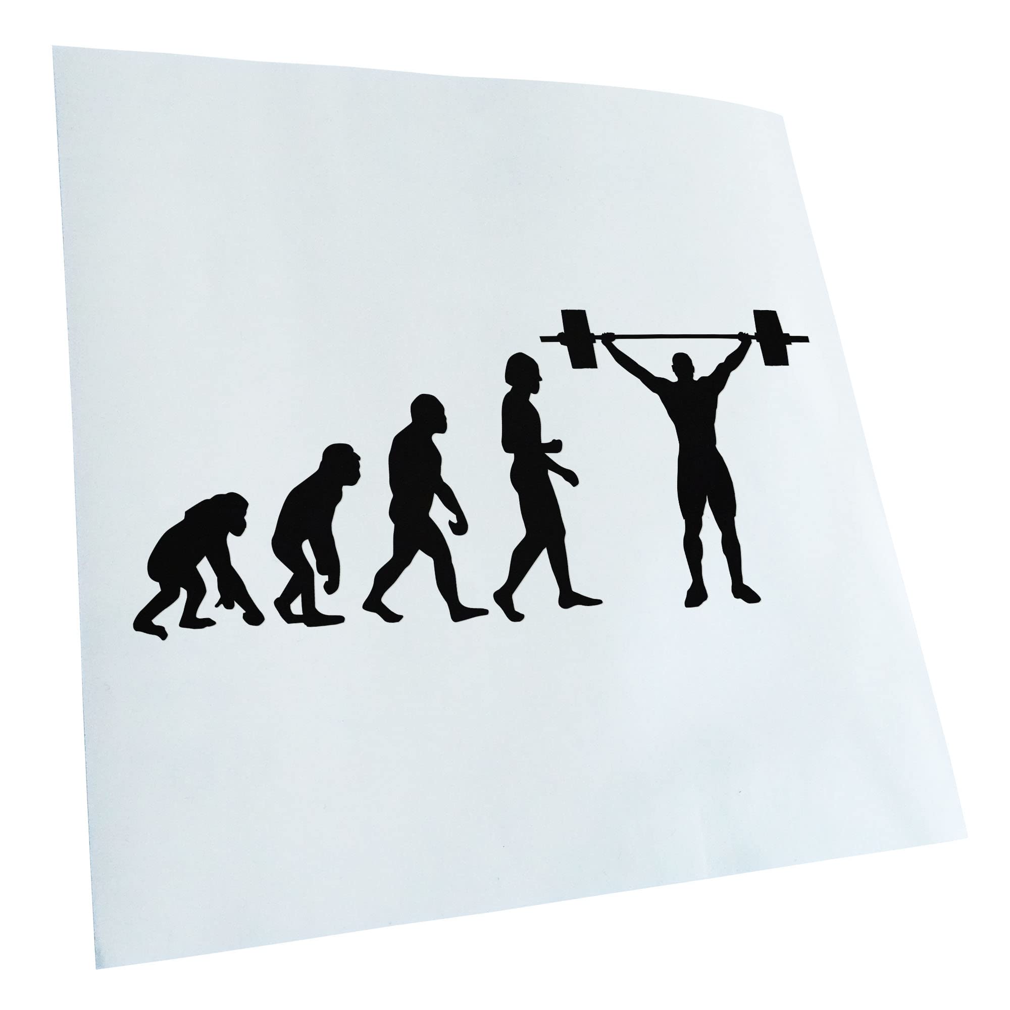 Kiwistar - Car Sticker - Black - 60 x 26 cm Evolution Weightlifter - Rear Window Car Sticker Weatherproof for Car Truck Moped Truck - Sticker Exterior Self-Adhesive Tuning Accessories for Window