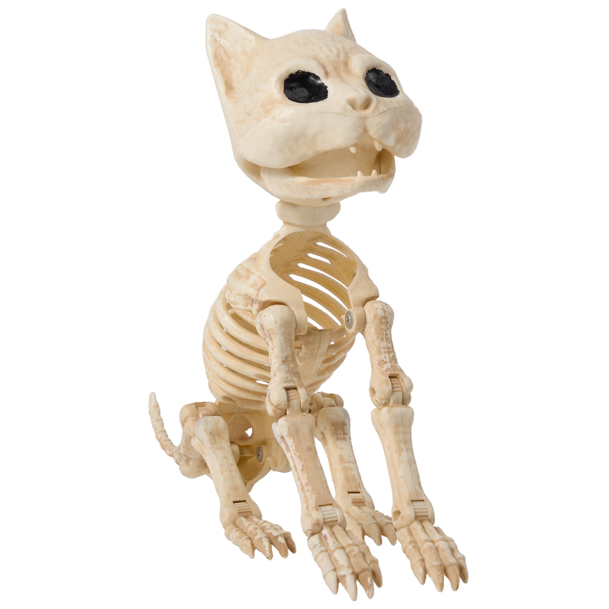 JOYIN Cat Skeleton Halloween Decorations 8 Inch Plastic Animal Skeletons with Movable Posable Joints Spooky for Outdoor Indoor Yard Garden Lawn Patio Halloween Party Favors Decor