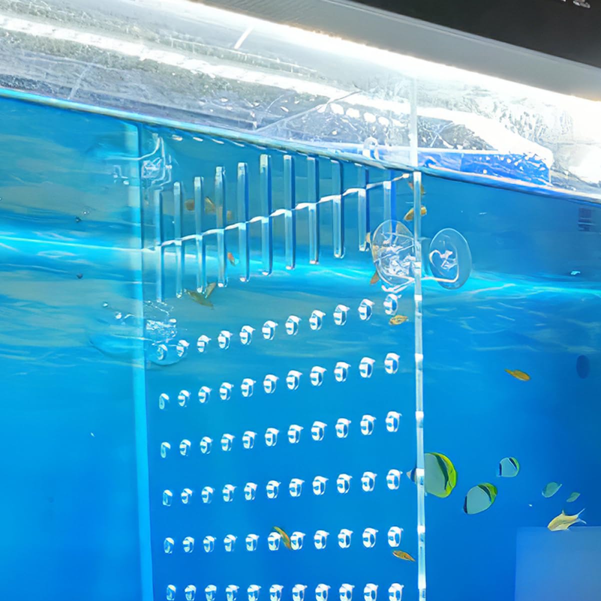 Popetpop Separador De Pecera AcríLico Transparente 9.64X8.26In Divisor para Acuario Accesorios para Peceras Durable Y FáCil De Instalar