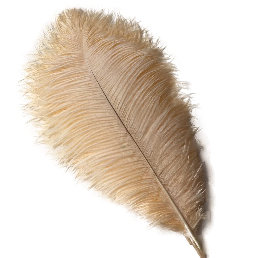 Shekyeon 12-14inch(30-35cm) Ostrich Feathers Plumes for Wedding Centerpieces Pack of 10(Champagne) — image 1