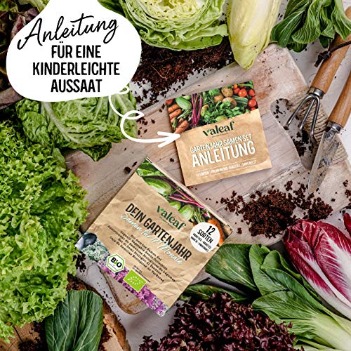 valeaf BIO Gartenjahr Samen Set I Gemüsesamen das ganze Jahr I 12 Monate Samen Gemüse I Gemüsesamen Set für Hochbeet… – Bild 4