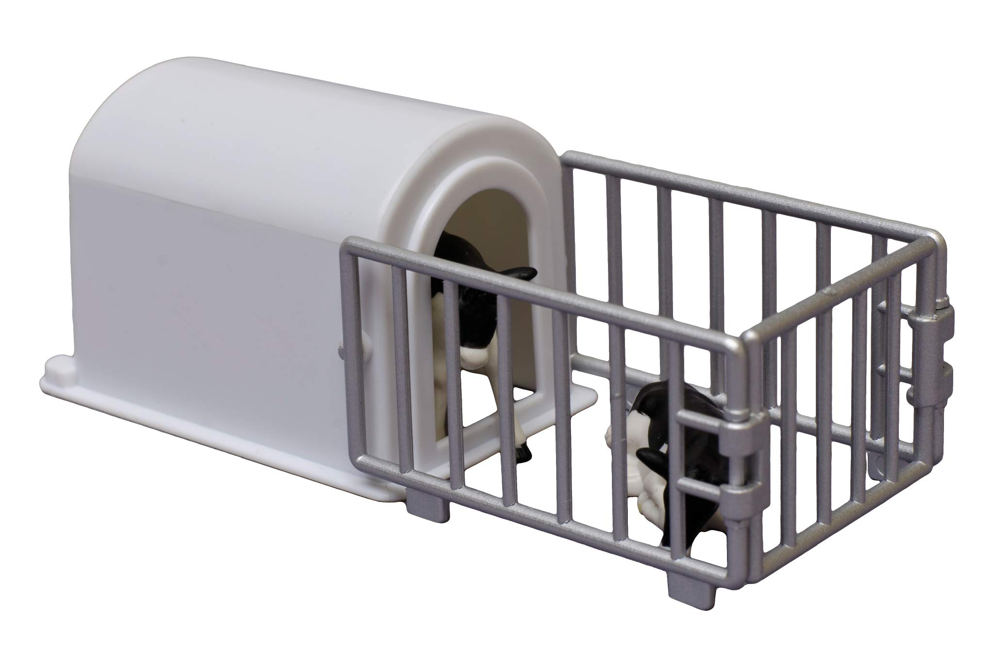 Van Manen 571964 Igloo Box with 2 Calves