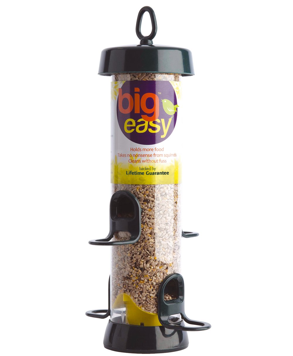 Buy Hanging Bird Feeders For Small Birds Jacobi Jayne® Bigeasy