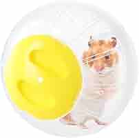 Palla Da Corsa Trasparente Per Criceti | Diametro 14.5cm | Design Sicuro Con Ventilazione | Giocattolo Anti Noia