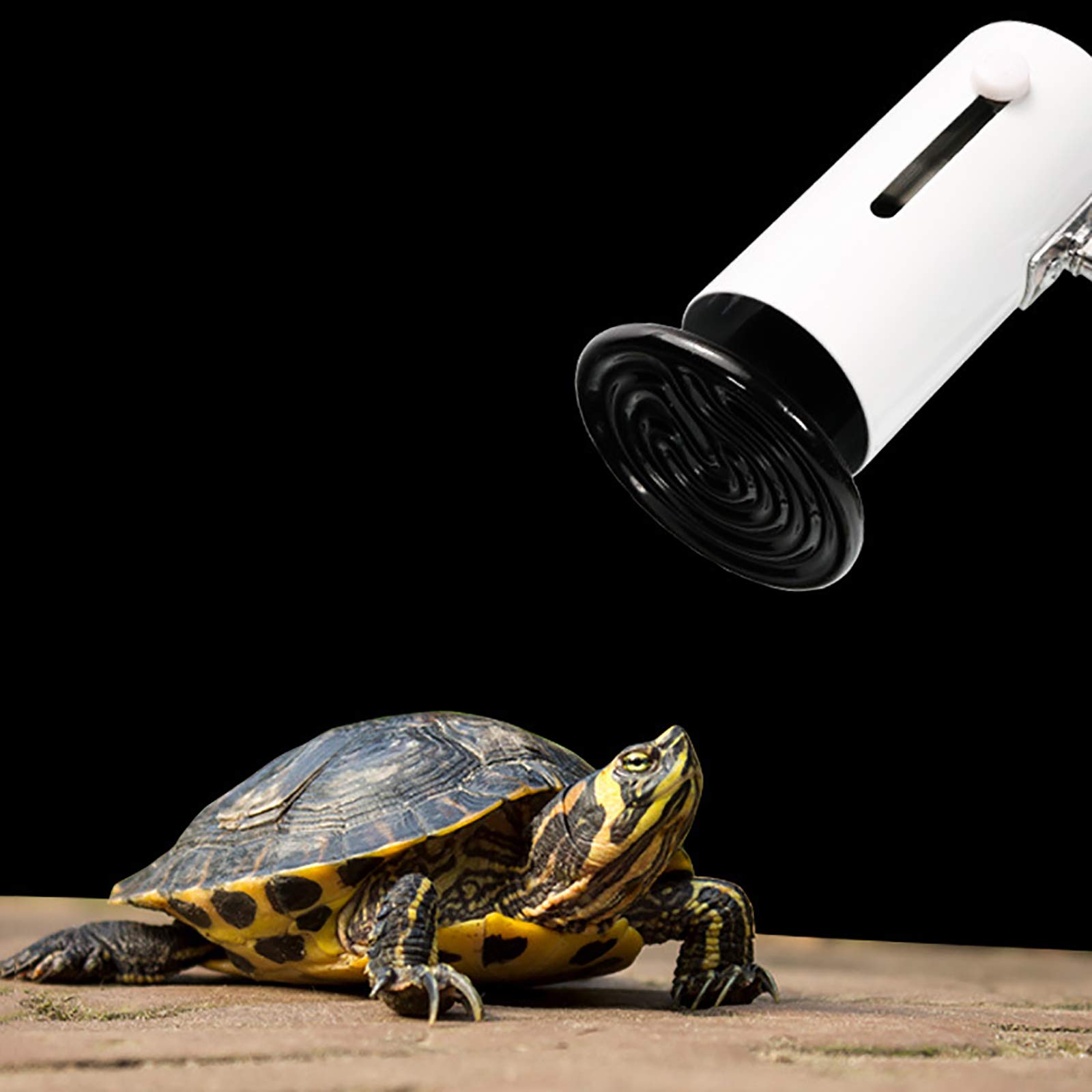 6 Żarówka grzewcza dla gadów, jaszczurki Terrarium Lampa ciepła Emiter ceramiczny Światło dzienne Basking Oświetlenie punktowe dla jaszczurek Żółw Wąż Kurczak Zwierzęta domowe,75W