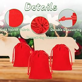 Shintop 10 Pack Velvet Drawstring Bags for Christmas Wedding Gift Bags Velvet Cloth Jewelry Pouches (2.75 x 3.54 , Red)
