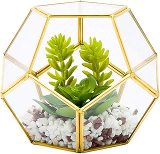 Restaurantware-6.7 x 6.3 x 6.3 Inch Faux Succulent, 1 Artificial Succulent - In Pentagon Glass Terrarium, Use As Table Or Shelf Decor, Centerpiece, Gold Plastic Fake Desk Plant, Geometric