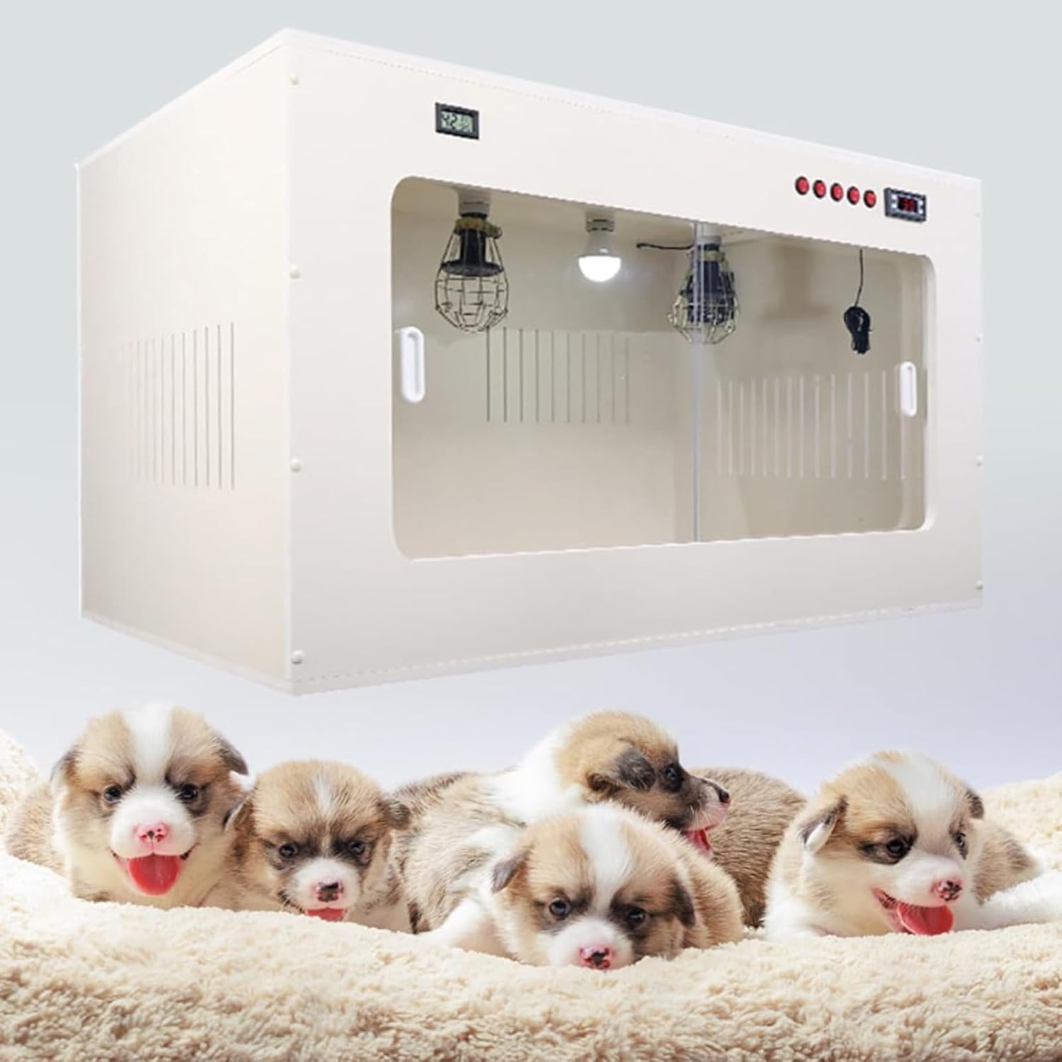 Incubatrice Per Gatti E Cuccioli, Incubatrice Per Animali Domestici Con Riscaldamento, A Temperatura Costante, 60 * 50 * 50cm