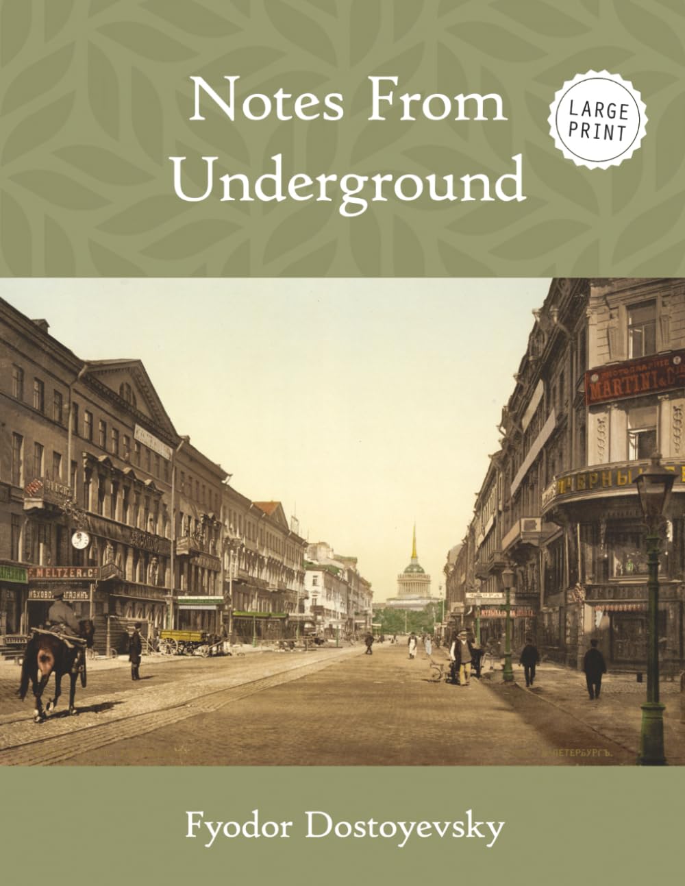 Notes From Underground (Large Print)