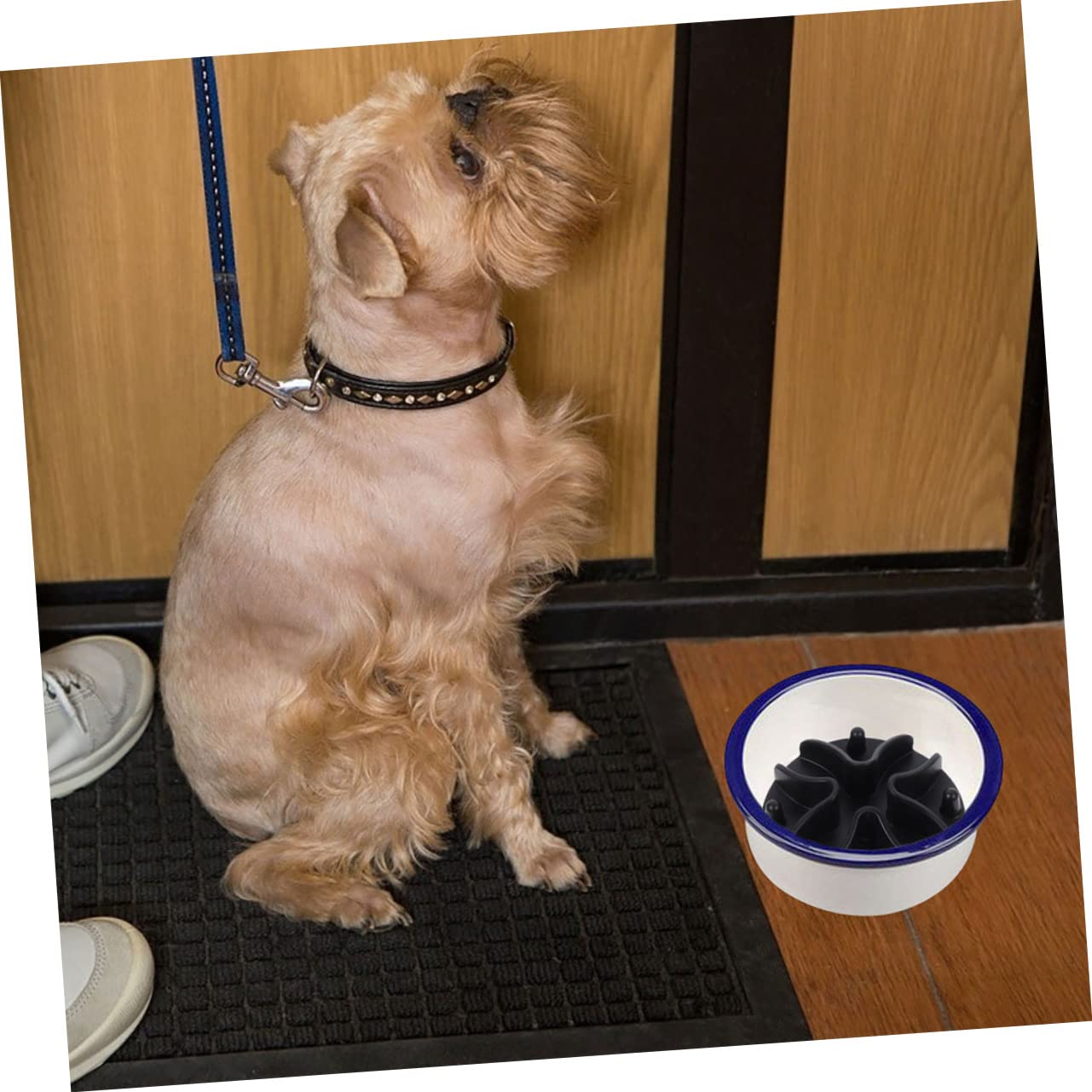 BESPORTBLE 4 Stück langsamer Zubringer Haustiere Puzzle Slow Feeder Futternapfeinsatz für Hunde Hundezubehör hundekot Hunde kotbeutel Bodenfutternapfeinsatz Futternapf für Katzen Kieselgel